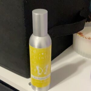 Scentsy Spray